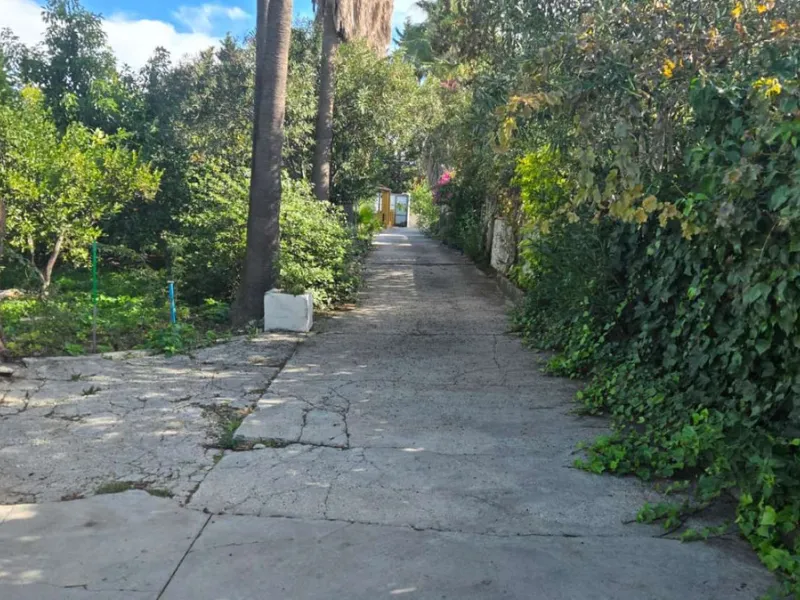 House - Detached Villa в продаже в Alhaurín de la Torre, Málaga. В доме 6 спален и 4 ванных комнат. Площадь дома 400 м². Площадь участка 4000 м²
