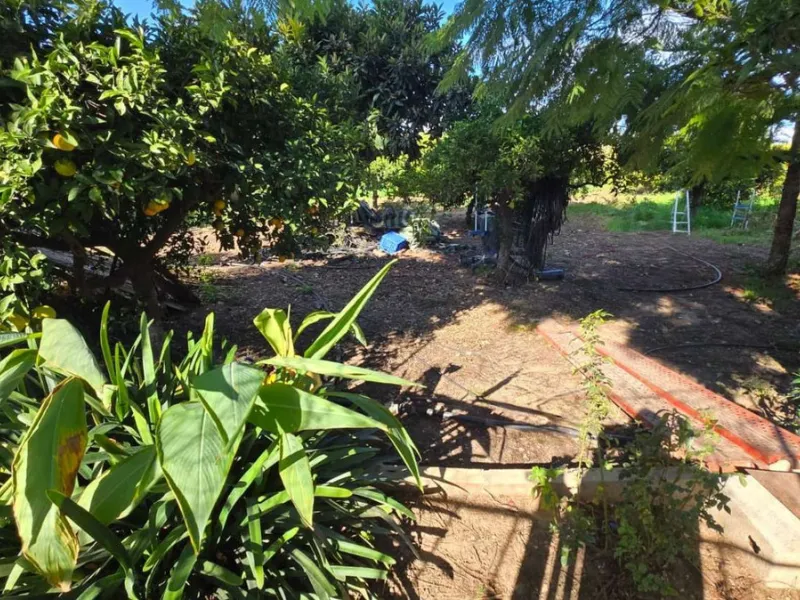 House - Detached Villa в продаже в Alhaurín de la Torre, Málaga. В доме 6 спален и 4 ванных комнат. Площадь дома 400 м². Площадь участка 4000 м²