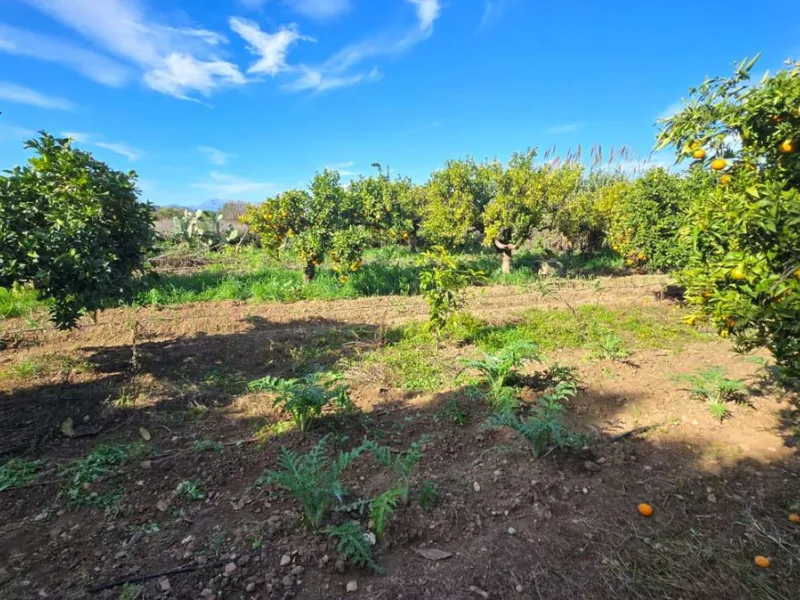 House - Detached Villa в продаже в Alhaurín de la Torre, Málaga. В доме 6 спален и 4 ванных комнат. Площадь дома 400 м². Площадь участка 4000 м²