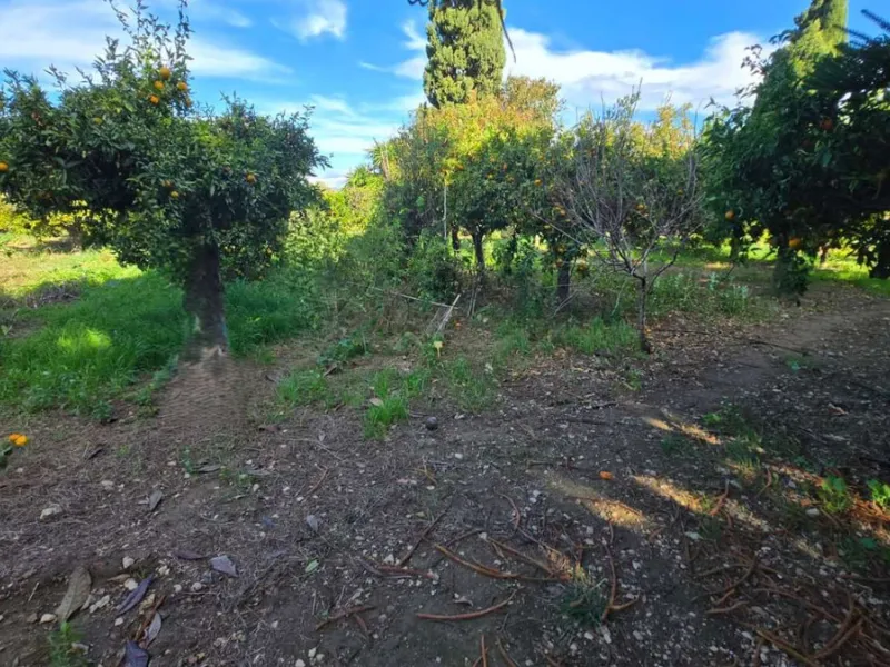 House - Detached Villa в продаже в Alhaurín de la Torre, Málaga. В доме 6 спален и 4 ванных комнат. Площадь дома 400 м². Площадь участка 4000 м²