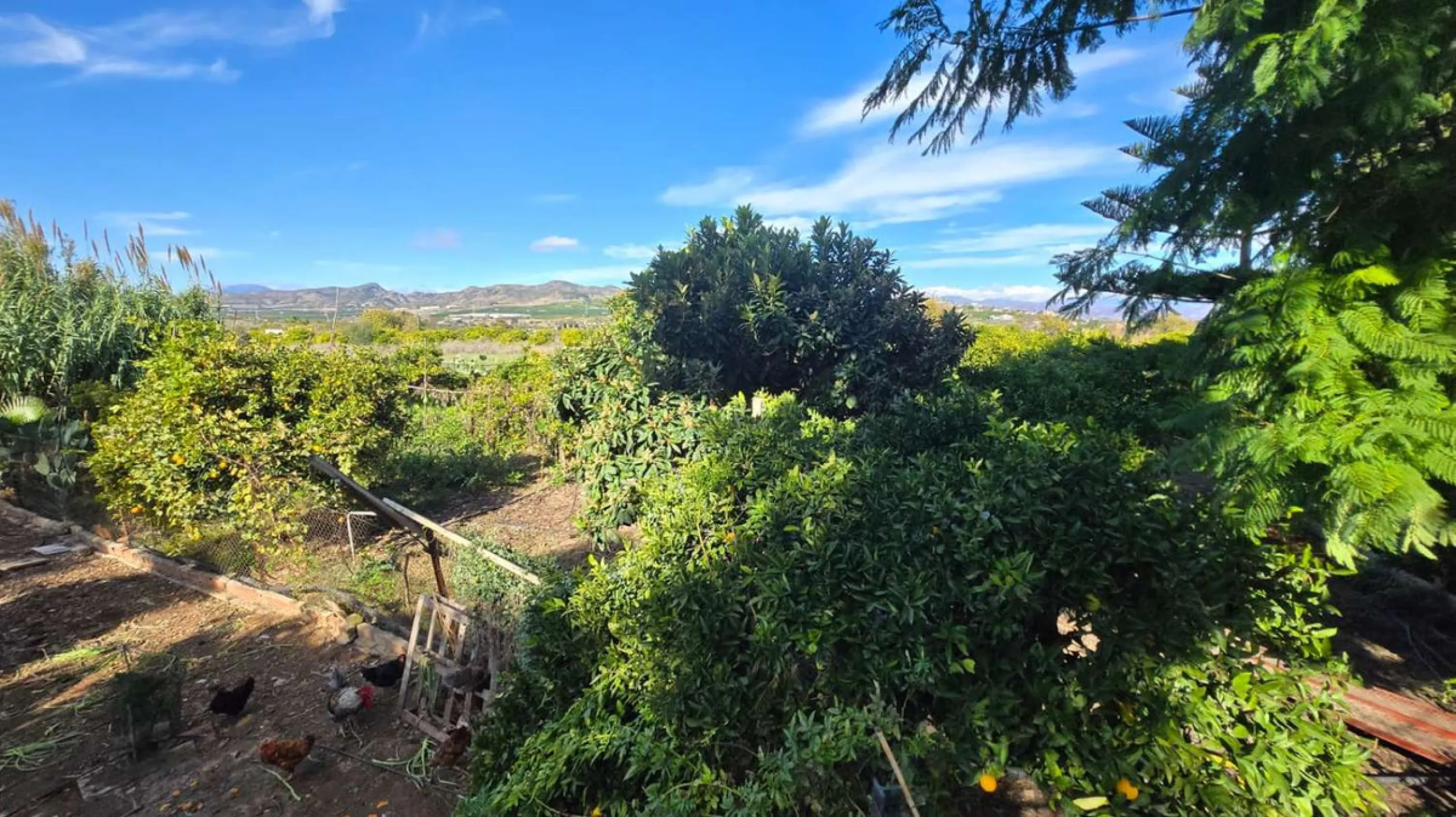 House - Detached Villa в продаже в Alhaurín de la Torre, Málaga. В доме 6 спален и 4 ванных комнат. Площадь дома 400 м². Площадь участка 4000 м²