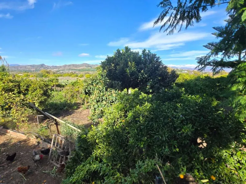 House - Detached Villa в продаже в Alhaurín de la Torre, Málaga. В доме 6 спален и 4 ванных комнат. Площадь дома 400 м². Площадь участка 4000 м²