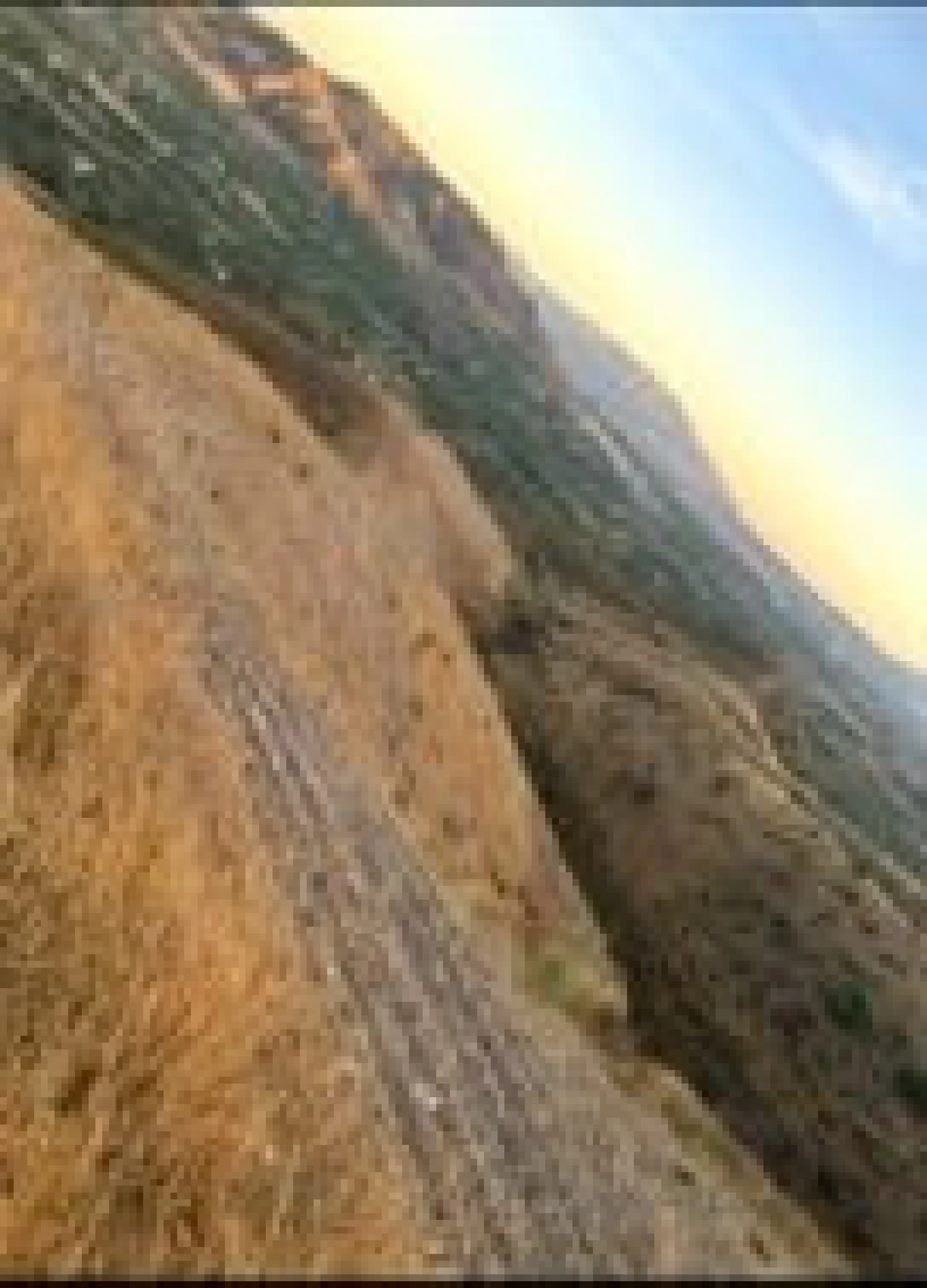 Plot - Land в продаже в Alora, Málaga. Площадь участка 127118 м²