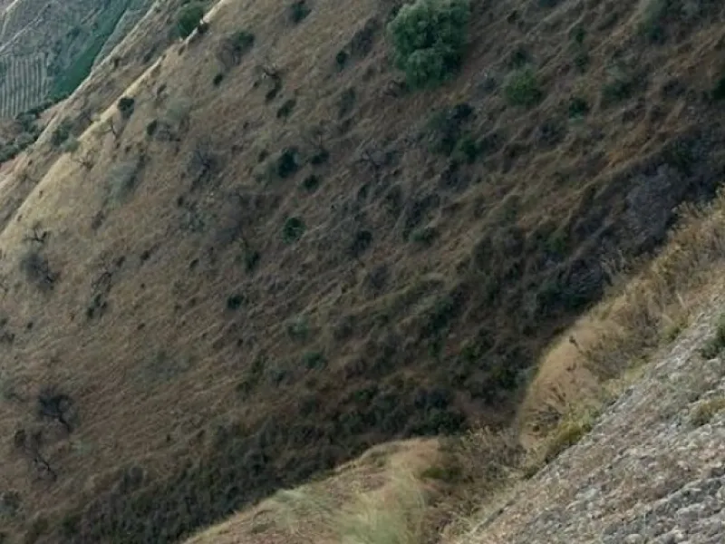 Plot - Land в продаже в Alora, Málaga. Площадь участка 127118 м²