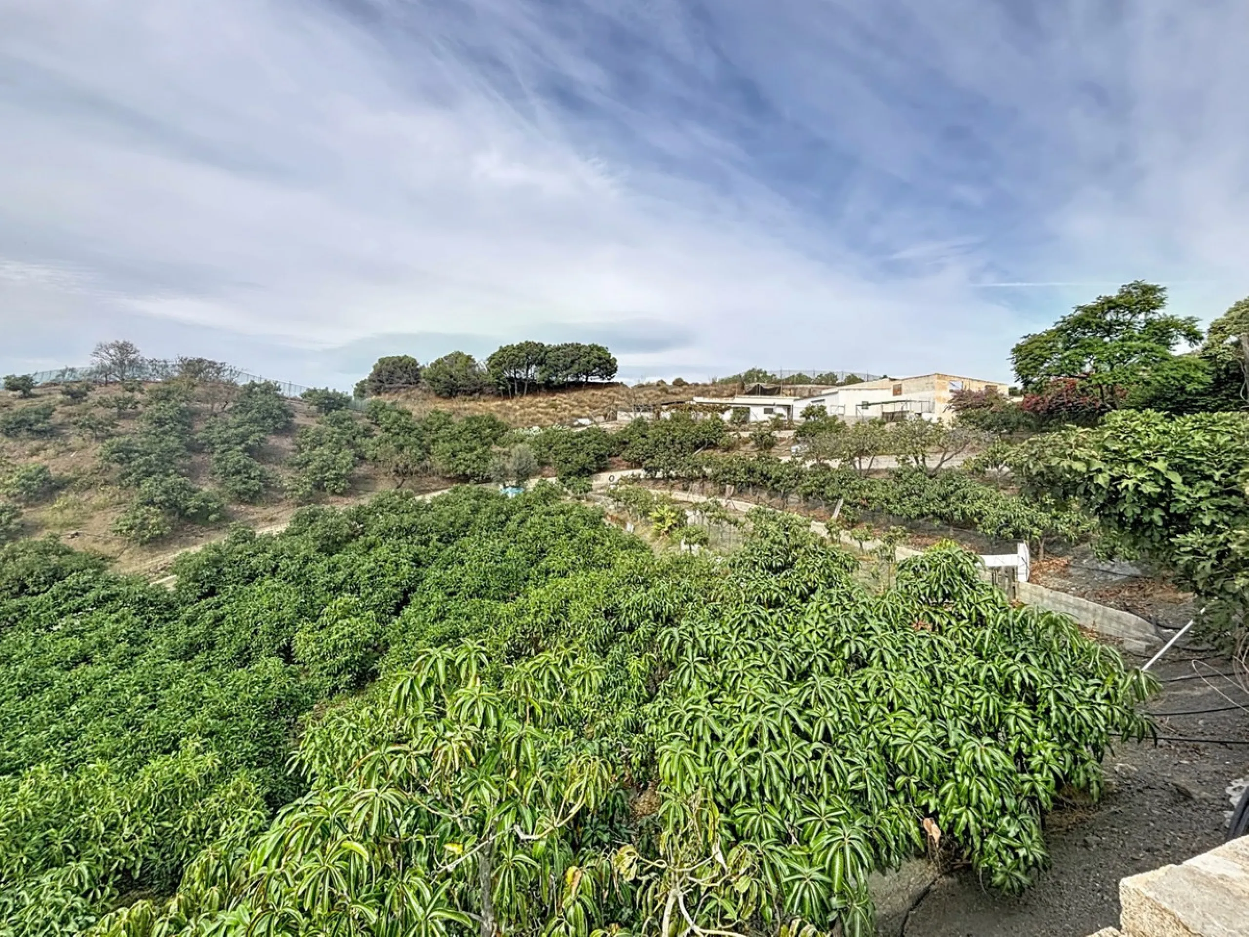 This finca in Vélez-Málaga offers a privileged setting, plenty of space, and excellent potential both as a family home and for agricultural use. The main house features 3 bedrooms on the main floor, a full bathroom, and a guest toilet. The kitchen is sepa