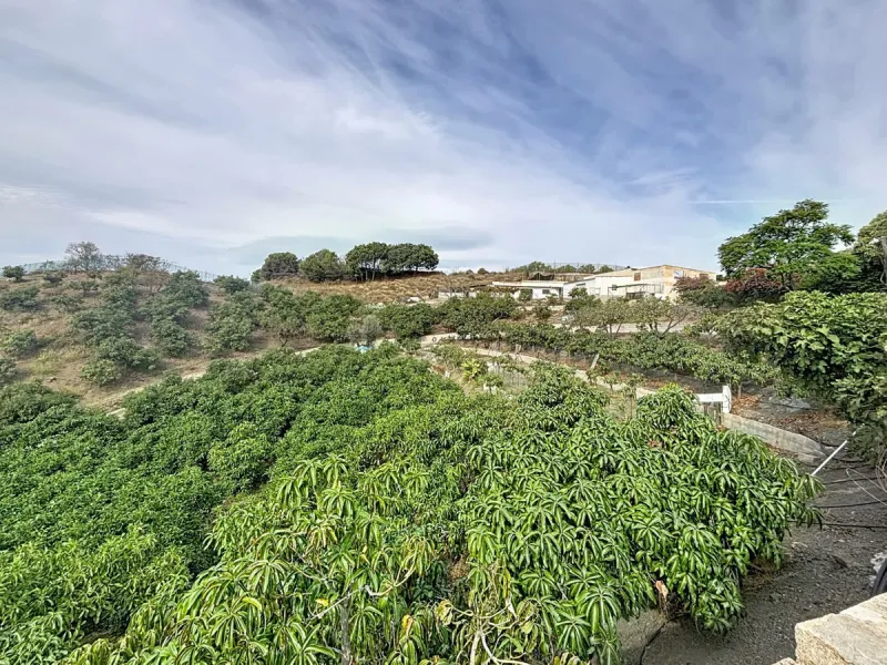 This finca in Vélez-Málaga offers a privileged setting, plenty of space, and excellent potential both as a family home and for agricultural use. The main house features 3 bedrooms on the main floor, a full bathroom, and a guest toilet. The kitchen is sepa