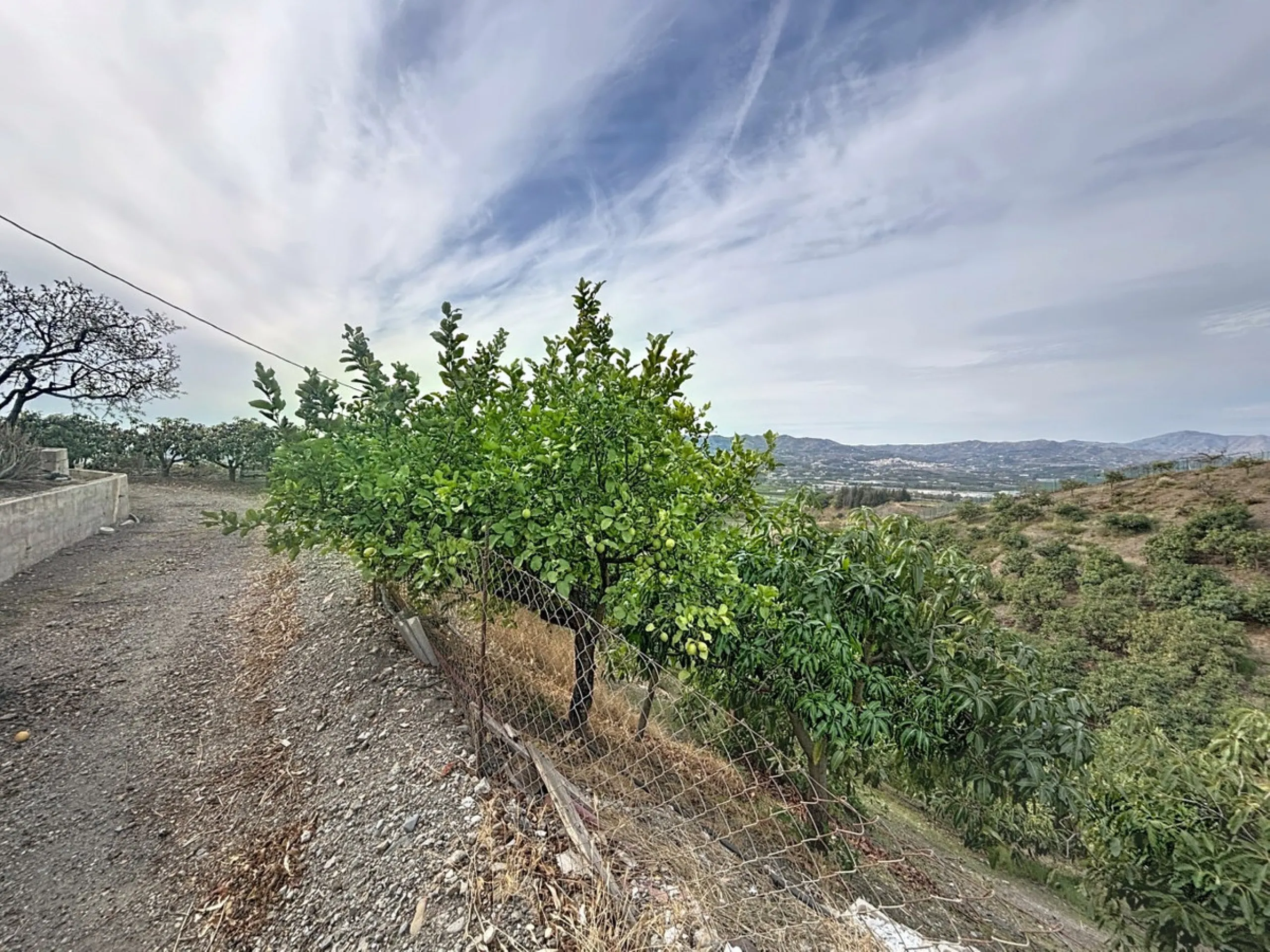 This finca in Vélez-Málaga offers a privileged setting, plenty of space, and excellent potential both as a family home and for agricultural use. The main house features 3 bedrooms on the main floor, a full bathroom, and a guest toilet. The kitchen is sepa