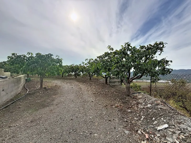 This finca in Vélez-Málaga offers a privileged setting, plenty of space, and excellent potential both as a family home and for agricultural use. The main house features 3 bedrooms on the main floor, a full bathroom, and a guest toilet. The kitchen is sepa