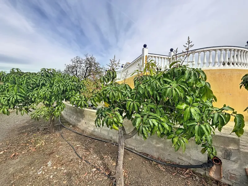 This finca in Vélez-Málaga offers a privileged setting, plenty of space, and excellent potential both as a family home and for agricultural use. The main house features 3 bedrooms on the main floor, a full bathroom, and a guest toilet. The kitchen is sepa
