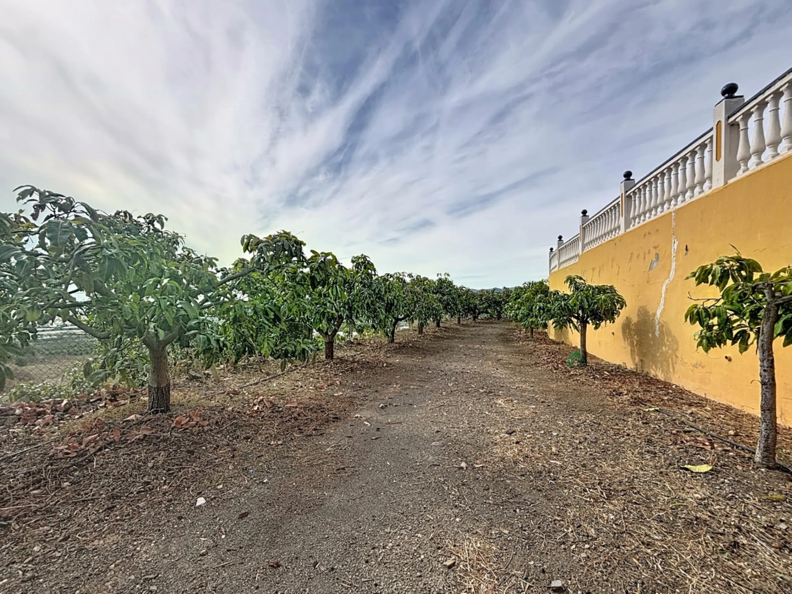This finca in Vélez-Málaga offers a privileged setting, plenty of space, and excellent potential both as a family home and for agricultural use. The main house features 3 bedrooms on the main floor, a full bathroom, and a guest toilet. The kitchen is sepa