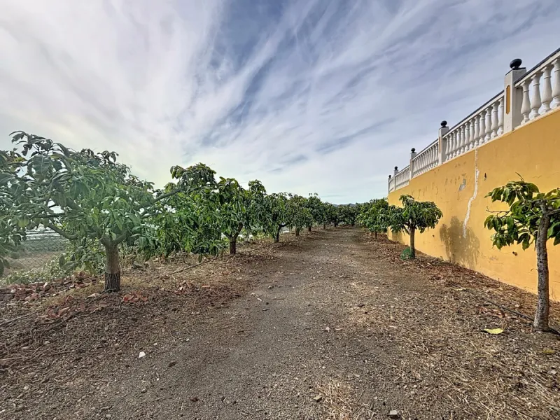 This finca in Vélez-Málaga offers a privileged setting, plenty of space, and excellent potential both as a family home and for agricultural use. The main house features 3 bedrooms on the main floor, a full bathroom, and a guest toilet. The kitchen is sepa