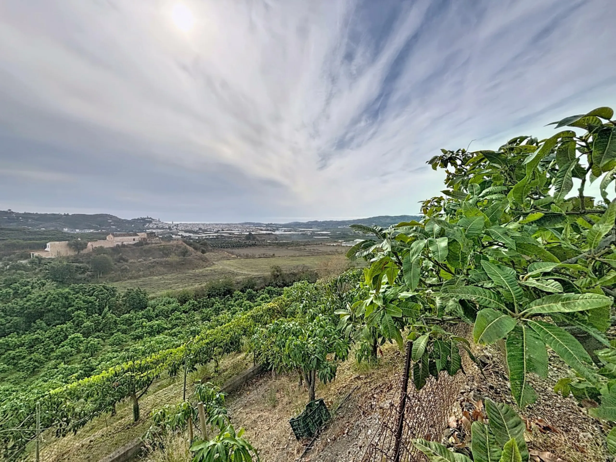This finca in Vélez-Málaga offers a privileged setting, plenty of space, and excellent potential both as a family home and for agricultural use. The main house features 3 bedrooms on the main floor, a full bathroom, and a guest toilet. The kitchen is sepa