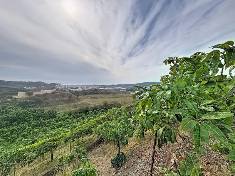 This finca in Vélez-Málaga offers a privileged setting, plenty of space, and excellent potential both as a family home and for agricultural use. The main house features 3 bedrooms on the main floor, a full bathroom, and a guest toilet. The kitchen is sepa