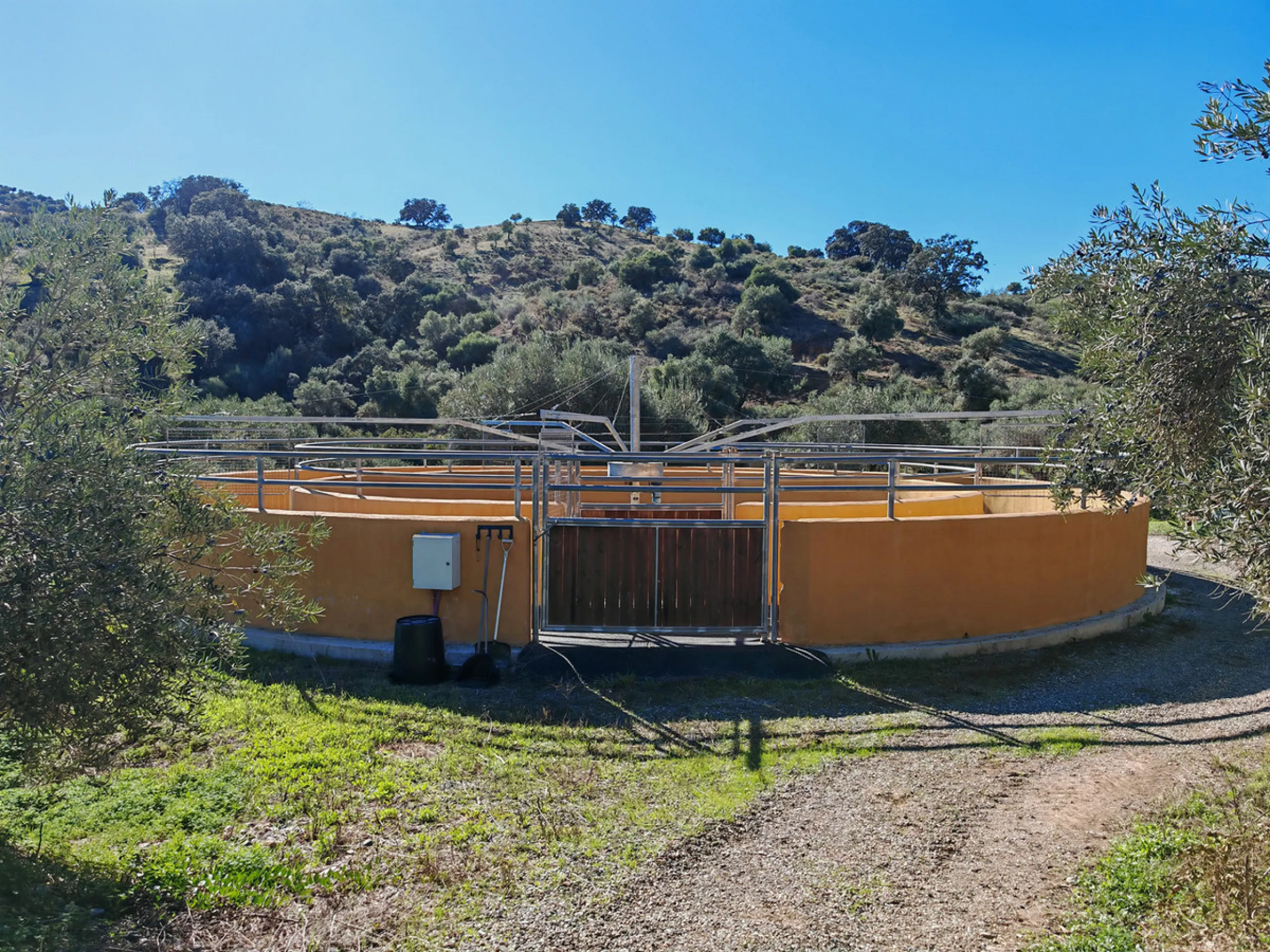 Exceptional equestrian estate for sale in Coín with four independent homes and full professional facilities.