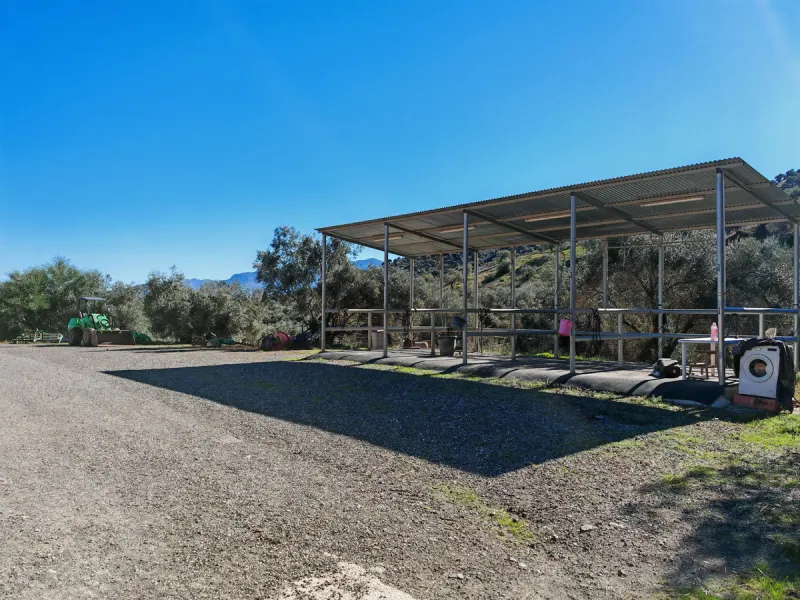 Exceptional equestrian estate for sale in Coín with four independent homes and full professional facilities.