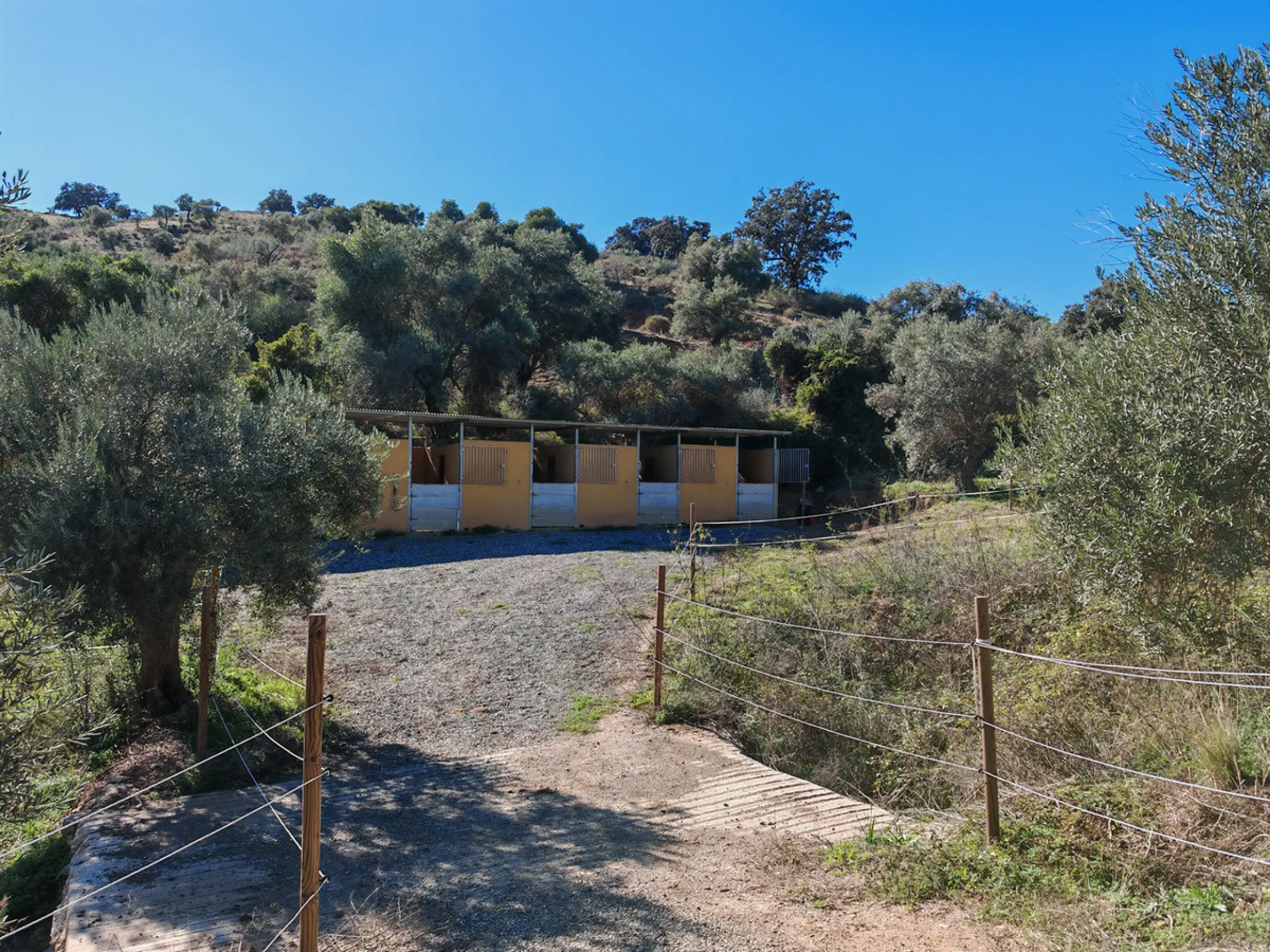 Exceptional equestrian estate for sale in Coín with four independent homes and full professional facilities.