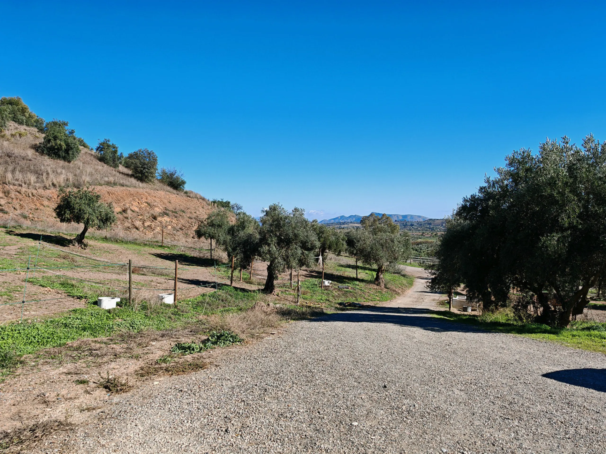 Exceptional equestrian estate for sale in Coín with four independent homes and full professional facilities.
