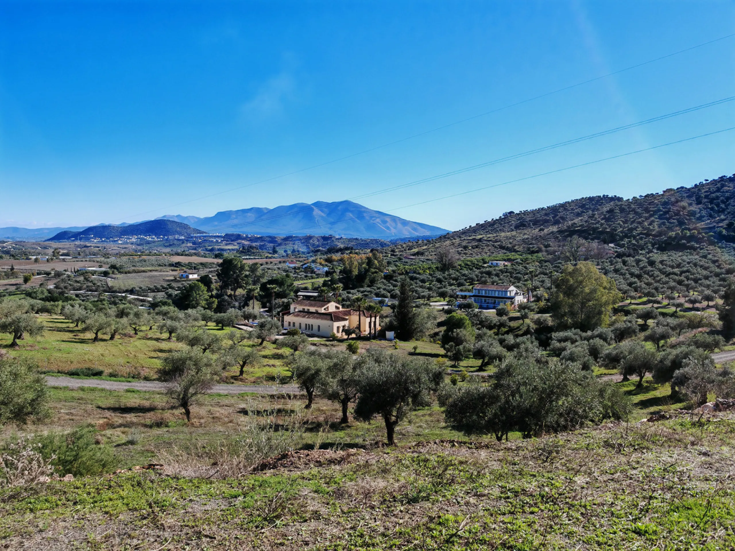 Exceptional equestrian estate for sale in Coín with four independent homes and full professional facilities.