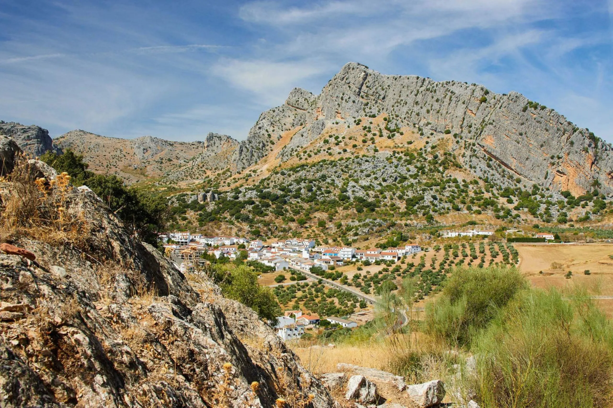 Plot - Residential Plot в продаже в Ronda, Málaga. Площадь участка 5174 м²