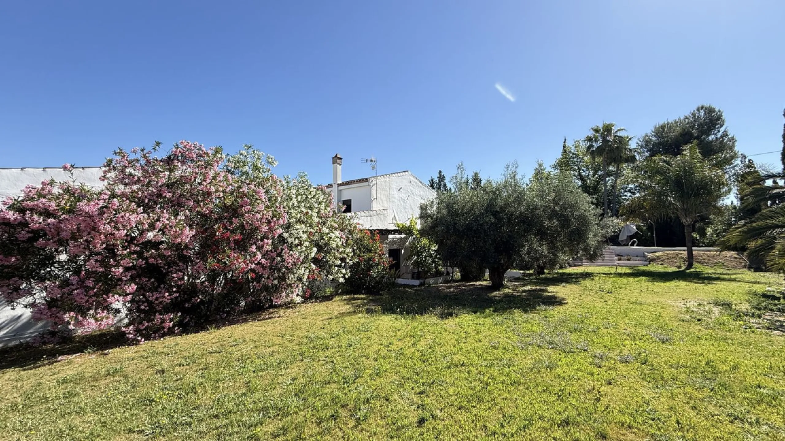 House - Finca - Cortijo в продаже в Alhaurín el Grande, Málaga. В доме 7 спален и 7 ванных комнат. Площадь дома 409 м². Площадь участка 12074 м²