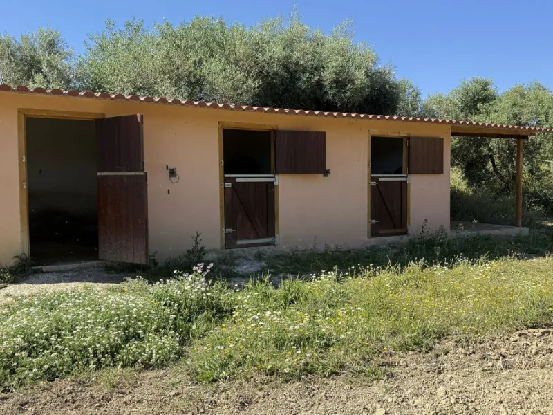 House - Finca - Cortijo в продаже в Alhaurín el Grande, Málaga. В доме 7 спален и 7 ванных комнат. Площадь дома 409 м². Площадь участка 12074 м²
