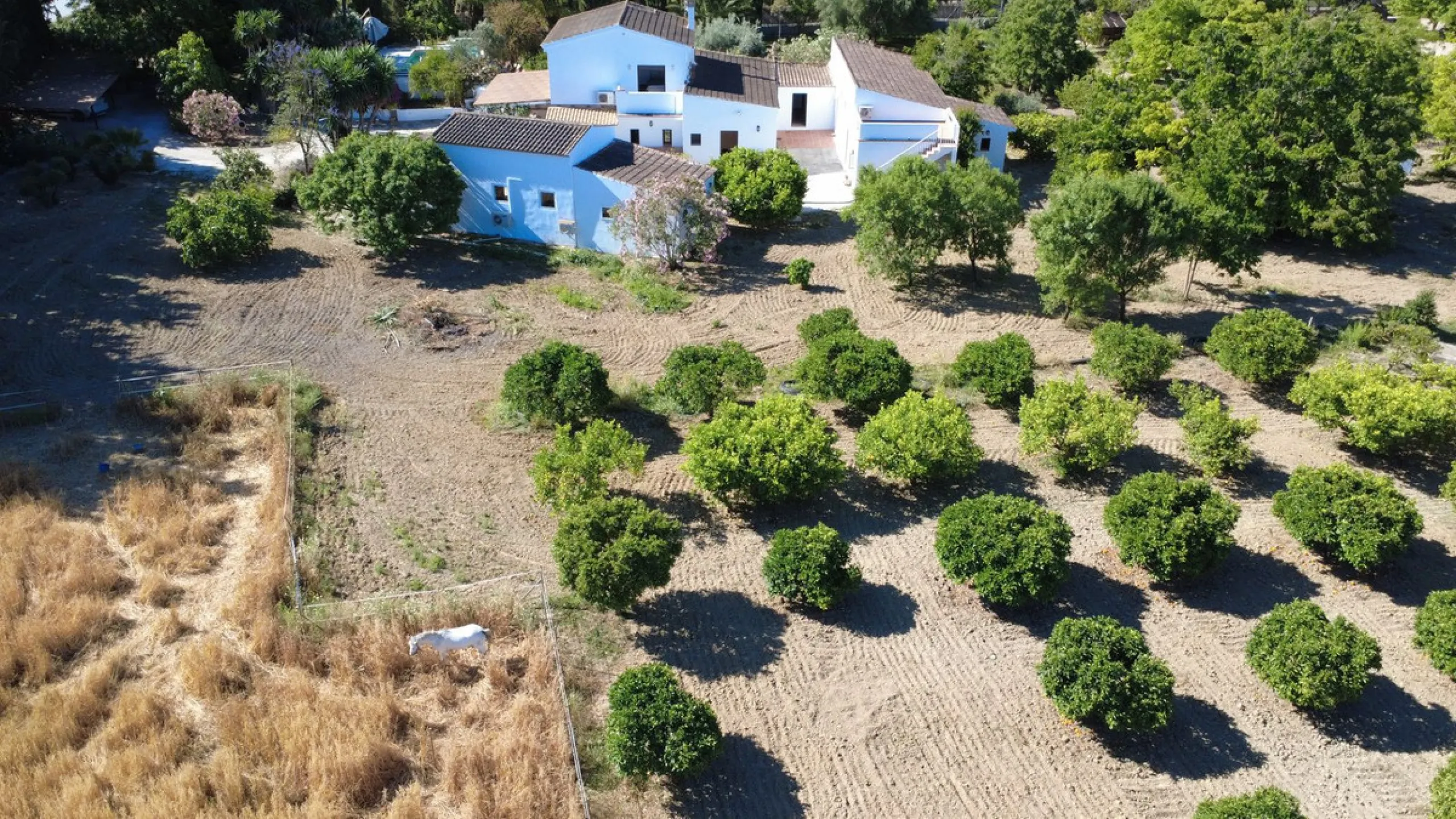 House - Finca - Cortijo в продаже в Alhaurín el Grande, Málaga. В доме 7 спален и 7 ванных комнат. Площадь дома 409 м². Площадь участка 12074 м²