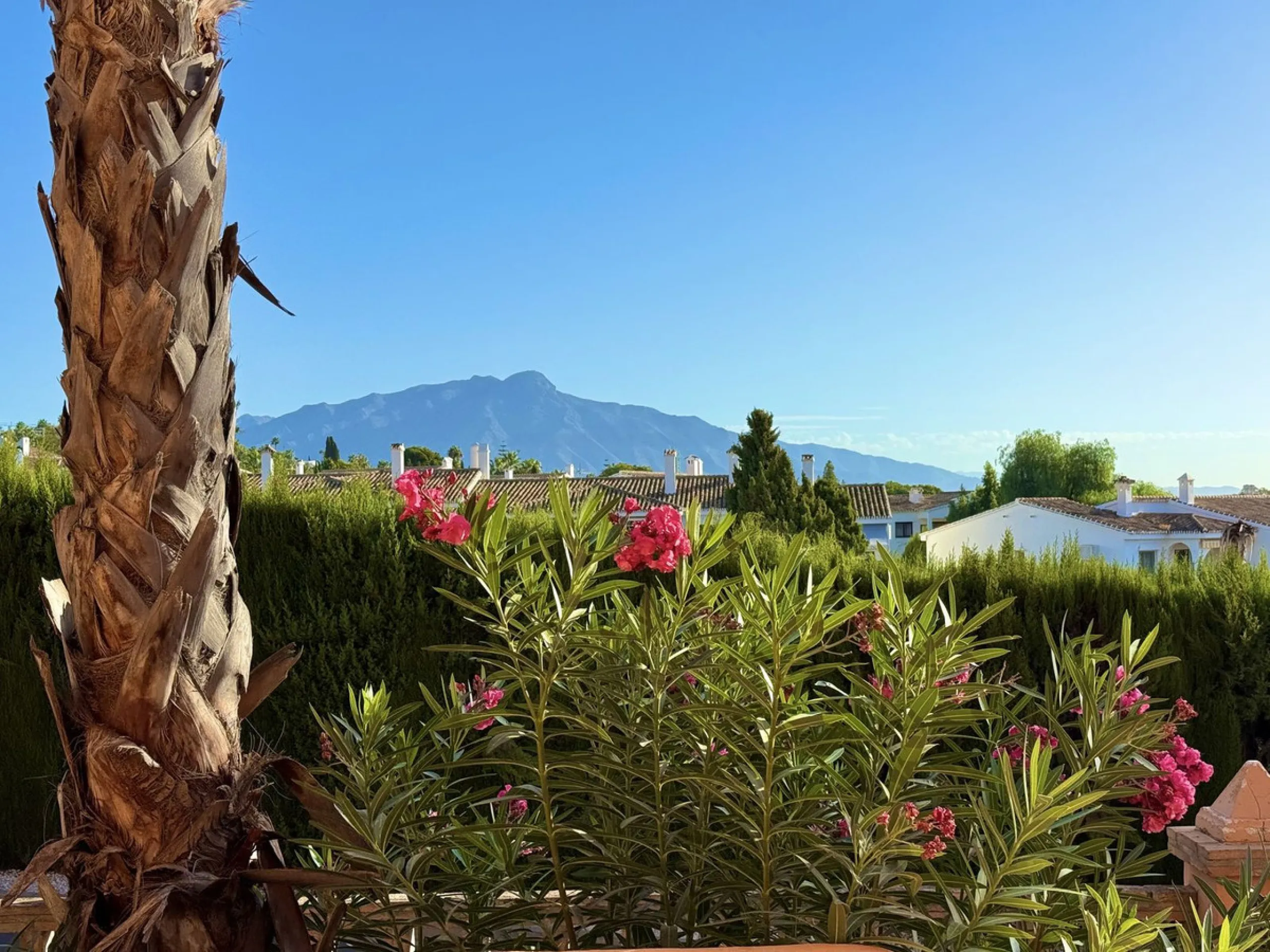 Modern 2-Bed, 2-Bath Apartment on the Edge of El Paraíso Golf