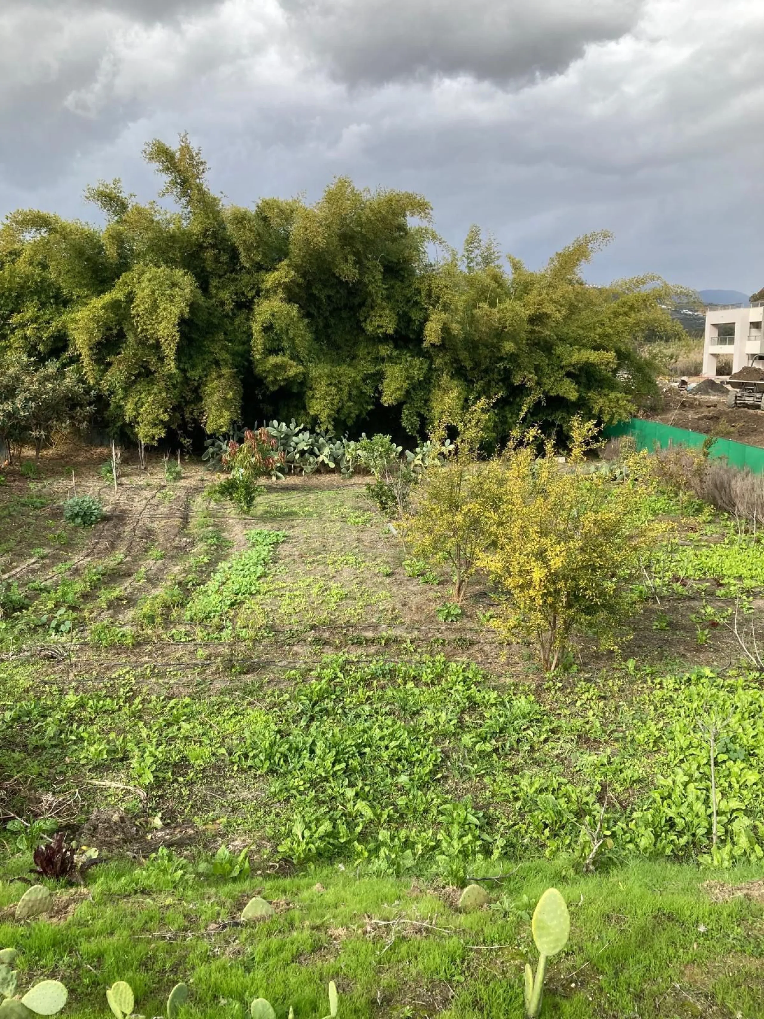 Plot - Residential Plot в продаже в Casares, Málaga. Площадь участка 2450 м²