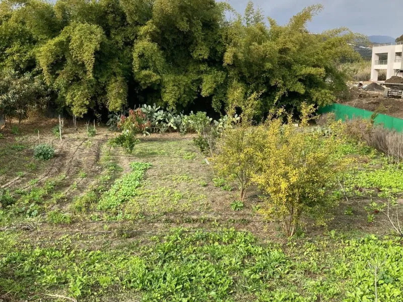 Plot - Residential Plot в продаже в Casares, Málaga. Площадь участка 2450 м²