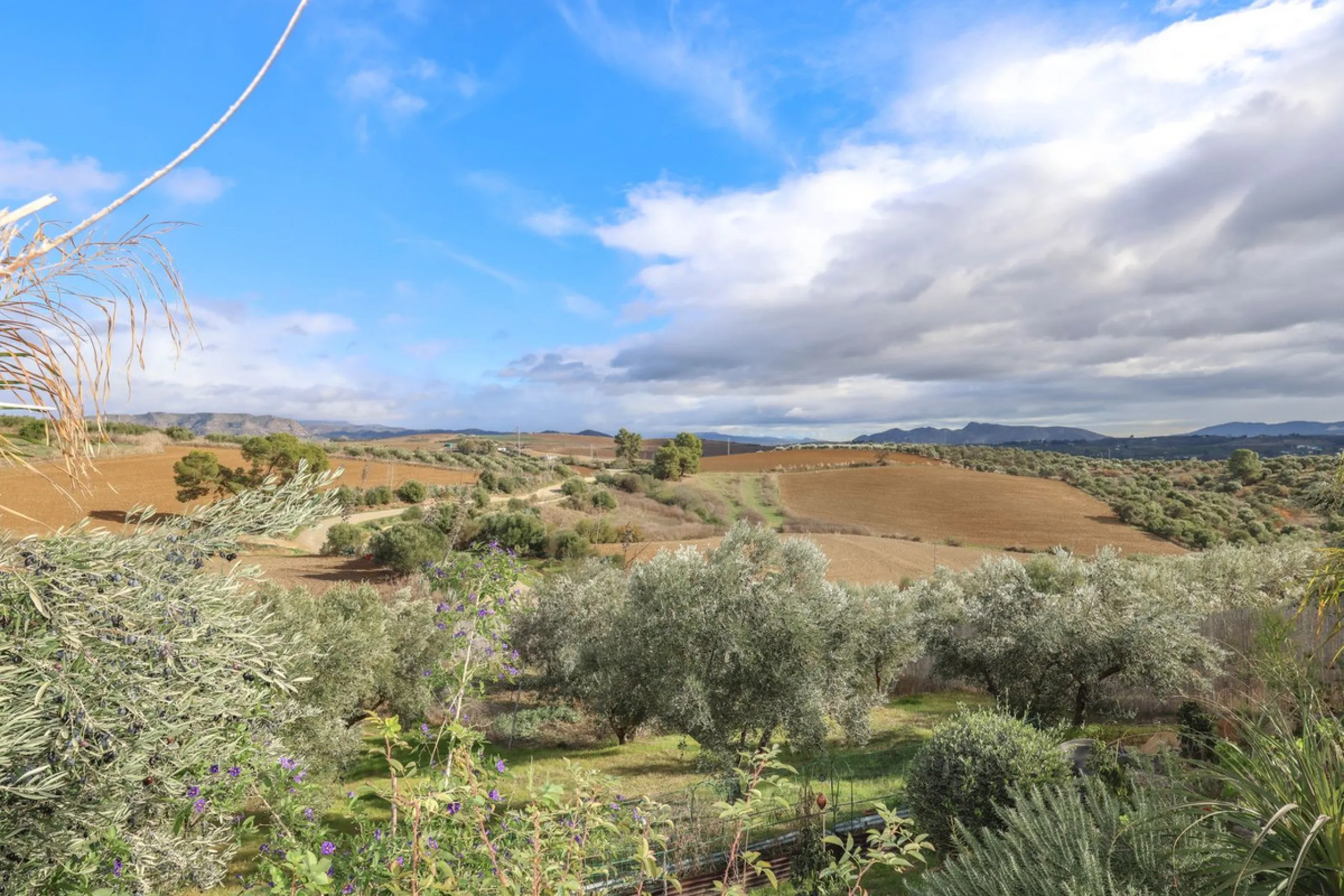 Detached Finca with Expansive Open Views