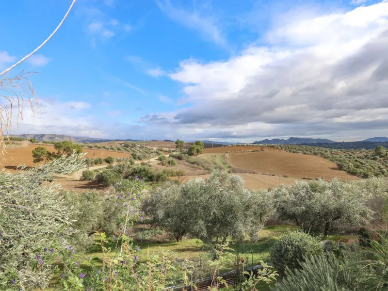 Detached Finca with Expansive Open Views