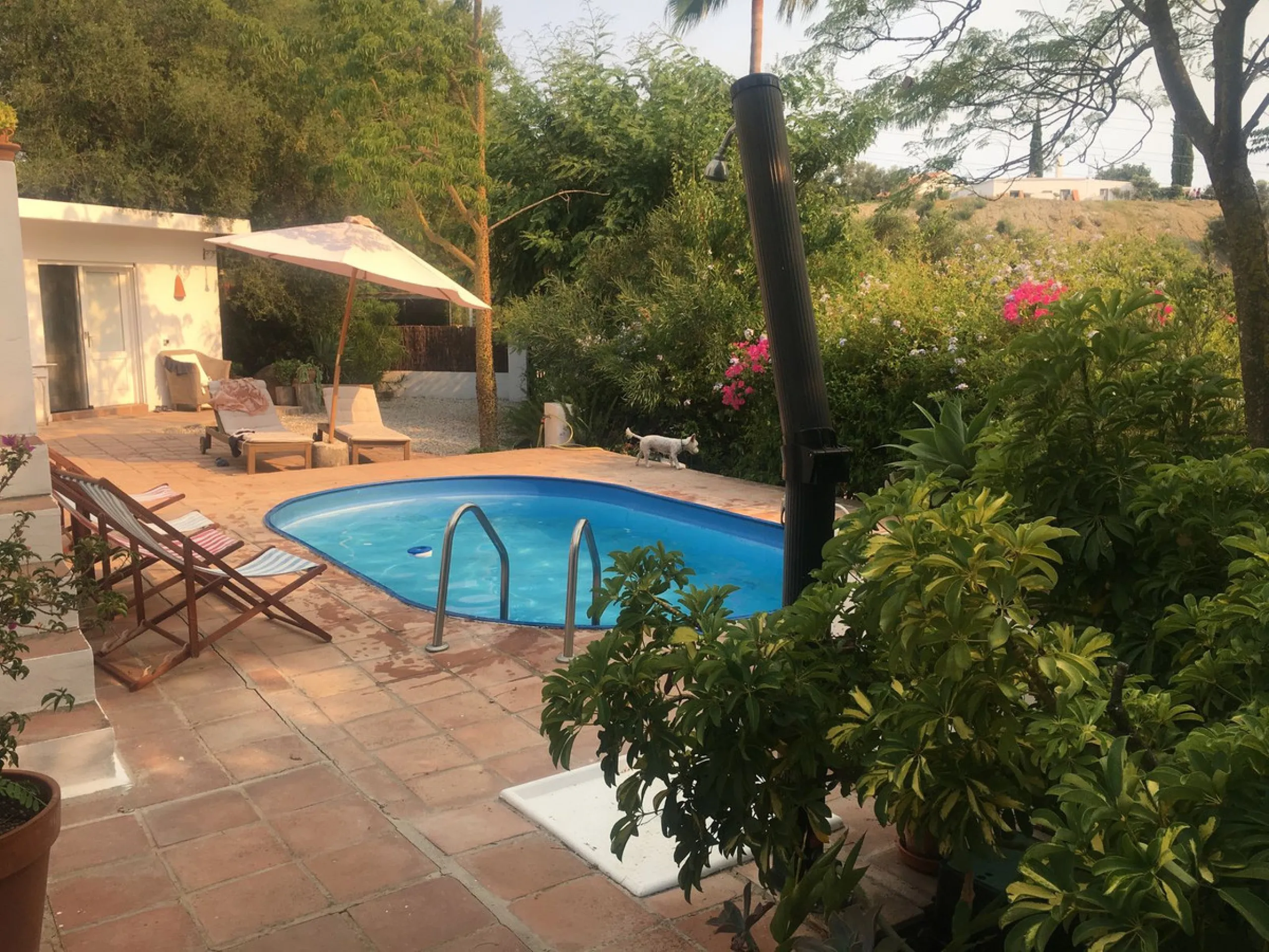 House - Detached Villa в продаже в Estepona, Málaga. В доме 3 спален и 3 ванных комнат. Площадь дома 170 м². Площадь участка 1500 м²