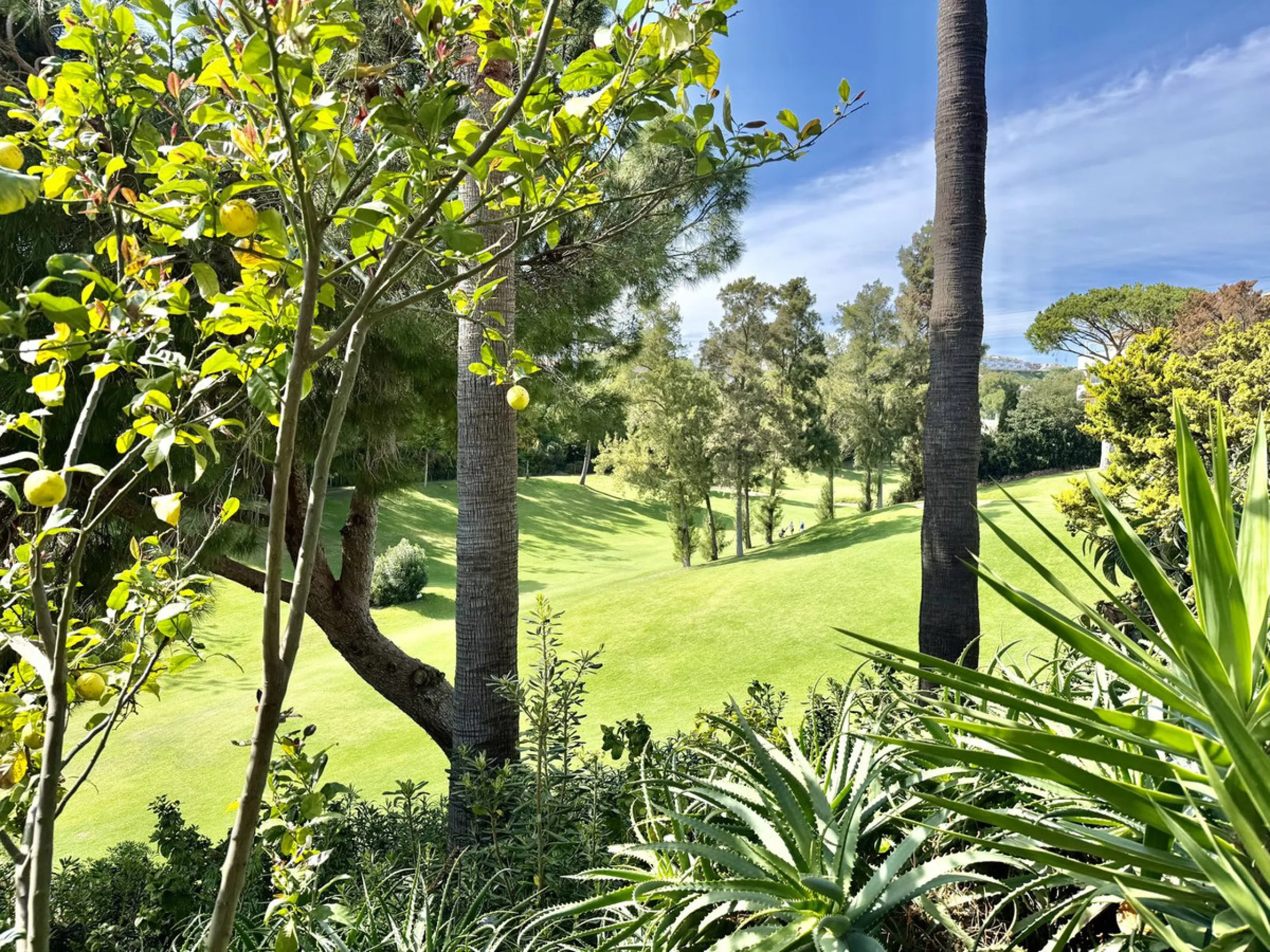 This impressive 3-bedroom penthouse offers a rare combination of space, privacy, and potential, set within a quiet and well-established urbanisation next to La Siesta Golf.