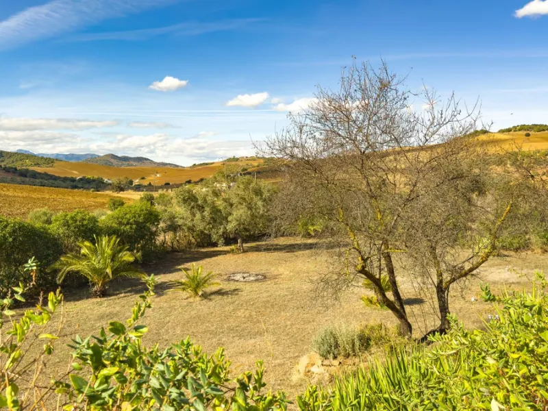 Charming detached house on a large plot with beautiful views, located in the quiet urbanization of Fuente Amarga (Almogía). The house is just a 15-minute drive from a village with all amenities, including shops, restaurants, banks, doctors, and schools.