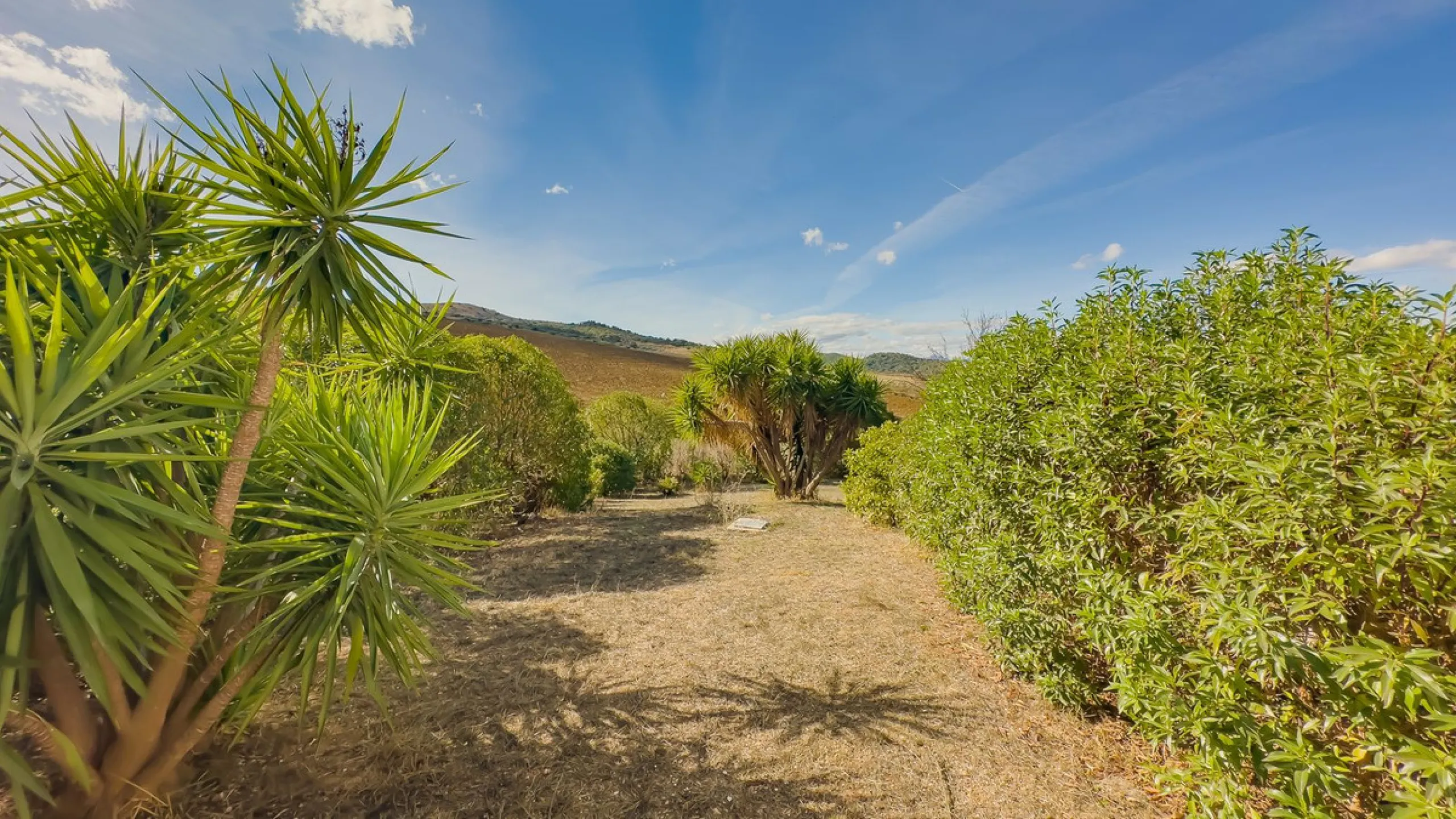 Charming detached house on a large plot with beautiful views, located in the quiet urbanization of Fuente Amarga (Almogía). The house is just a 15-minute drive from a village with all amenities, including shops, restaurants, banks, doctors, and schools.
