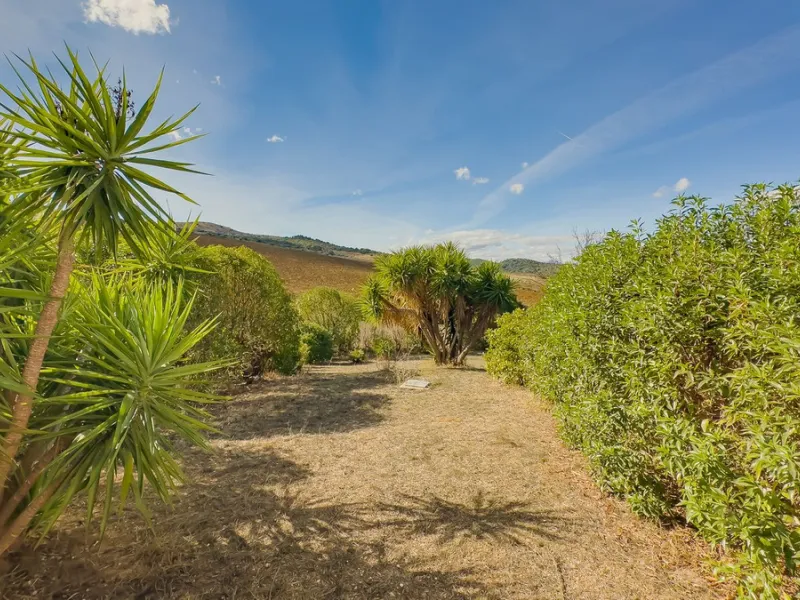 Charming detached house on a large plot with beautiful views, located in the quiet urbanization of Fuente Amarga (Almogía). The house is just a 15-minute drive from a village with all amenities, including shops, restaurants, banks, doctors, and schools.