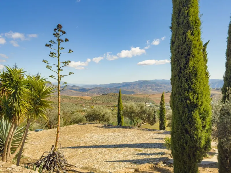 Commercial - Hotel в продаже в Villanueva De La Concepcion, Málaga. В доме 13 спален и 13 ванных комнат. Площадь дома 999 м². Площадь участка 50000 м²