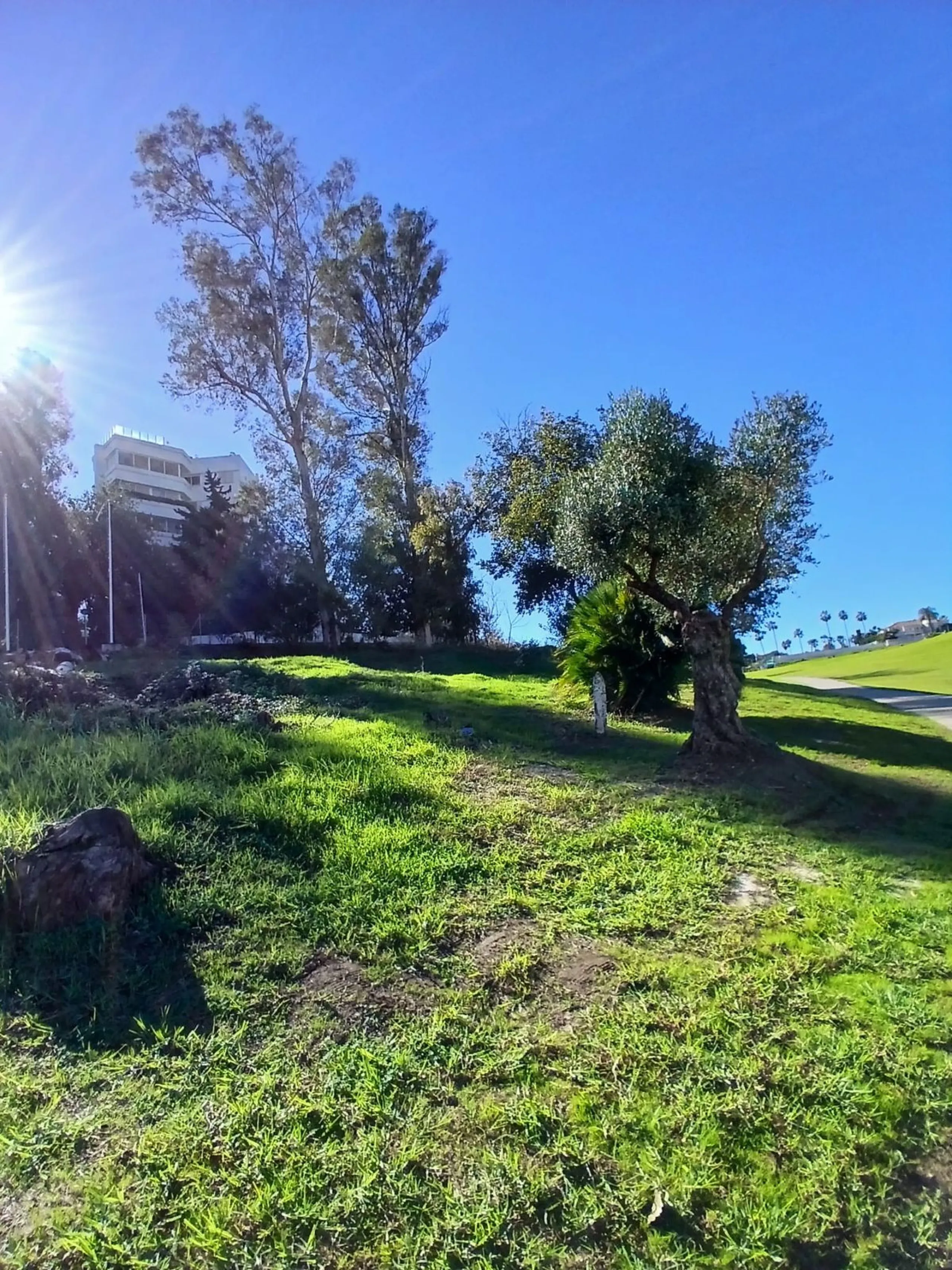 Urban Plot with Completed Project and Building Permit in Effect – Guadalmina Golf Course Frontline