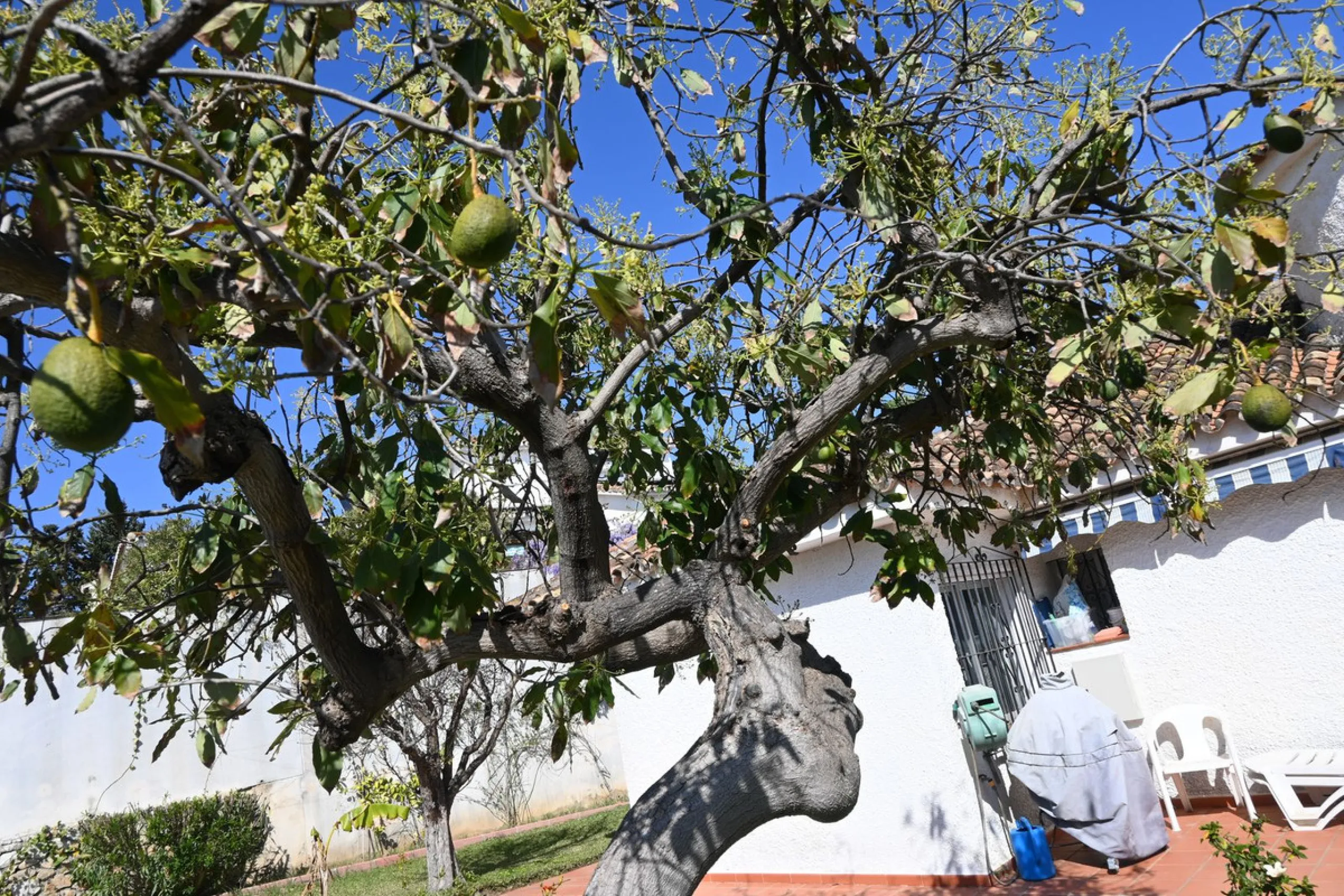 Discover this charming villa in excellent condition, located in one of the most peaceful and sought-after areas of Mijas. A bright, spacious home perfectly designed to enjoy Mediterranean living.