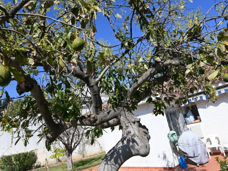 Discover this charming villa in excellent condition, located in one of the most peaceful and sought-after areas of Mijas. A bright, spacious home perfectly designed to enjoy Mediterranean living.