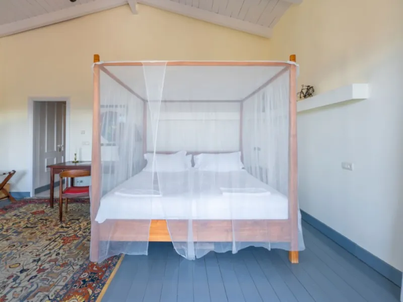 Unique Investment in the Serranía de Ronda: An Exclusive Retreat with High Commercial Potential