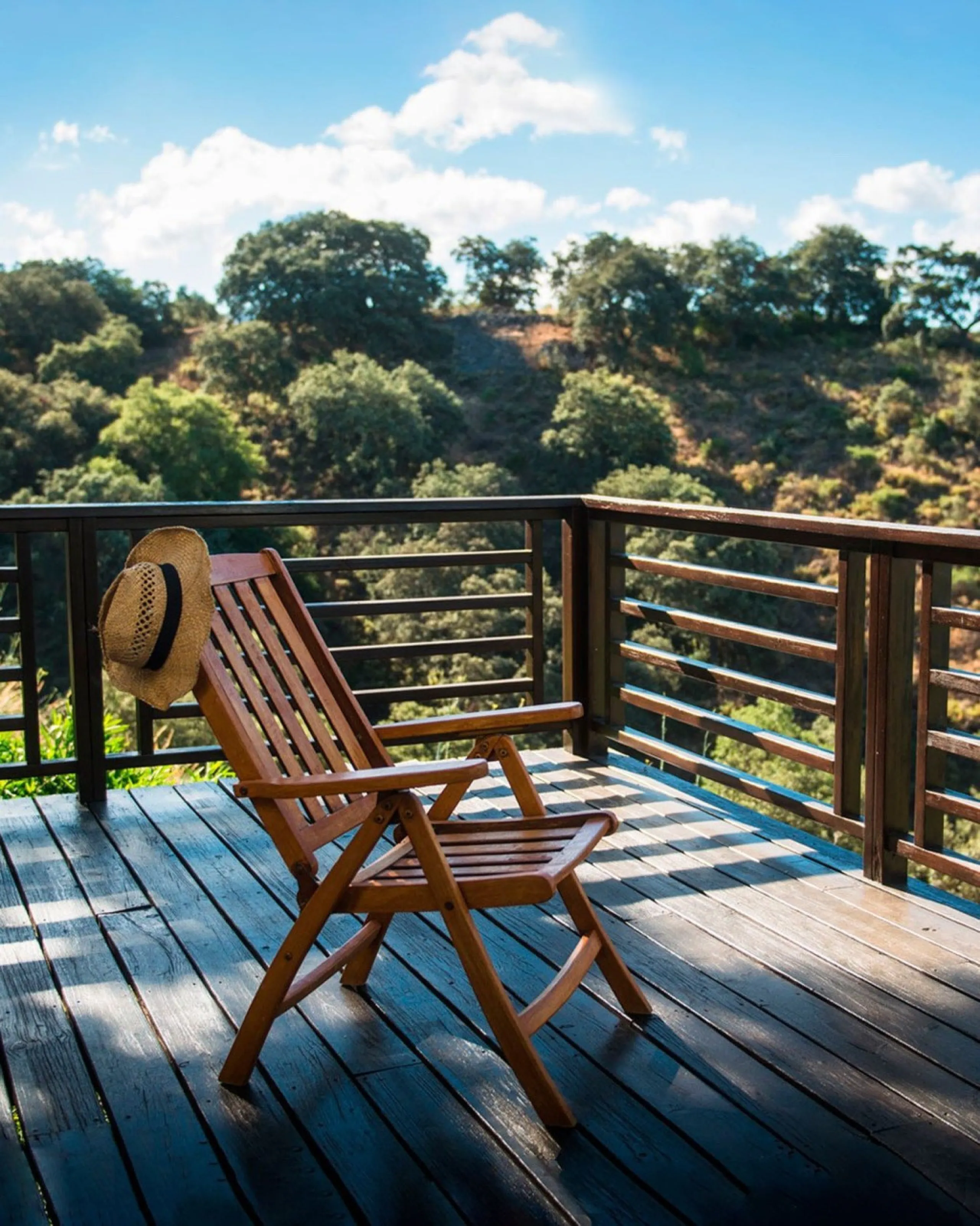 Unique Investment in the Serranía de Ronda: An Exclusive Retreat with High Commercial Potential