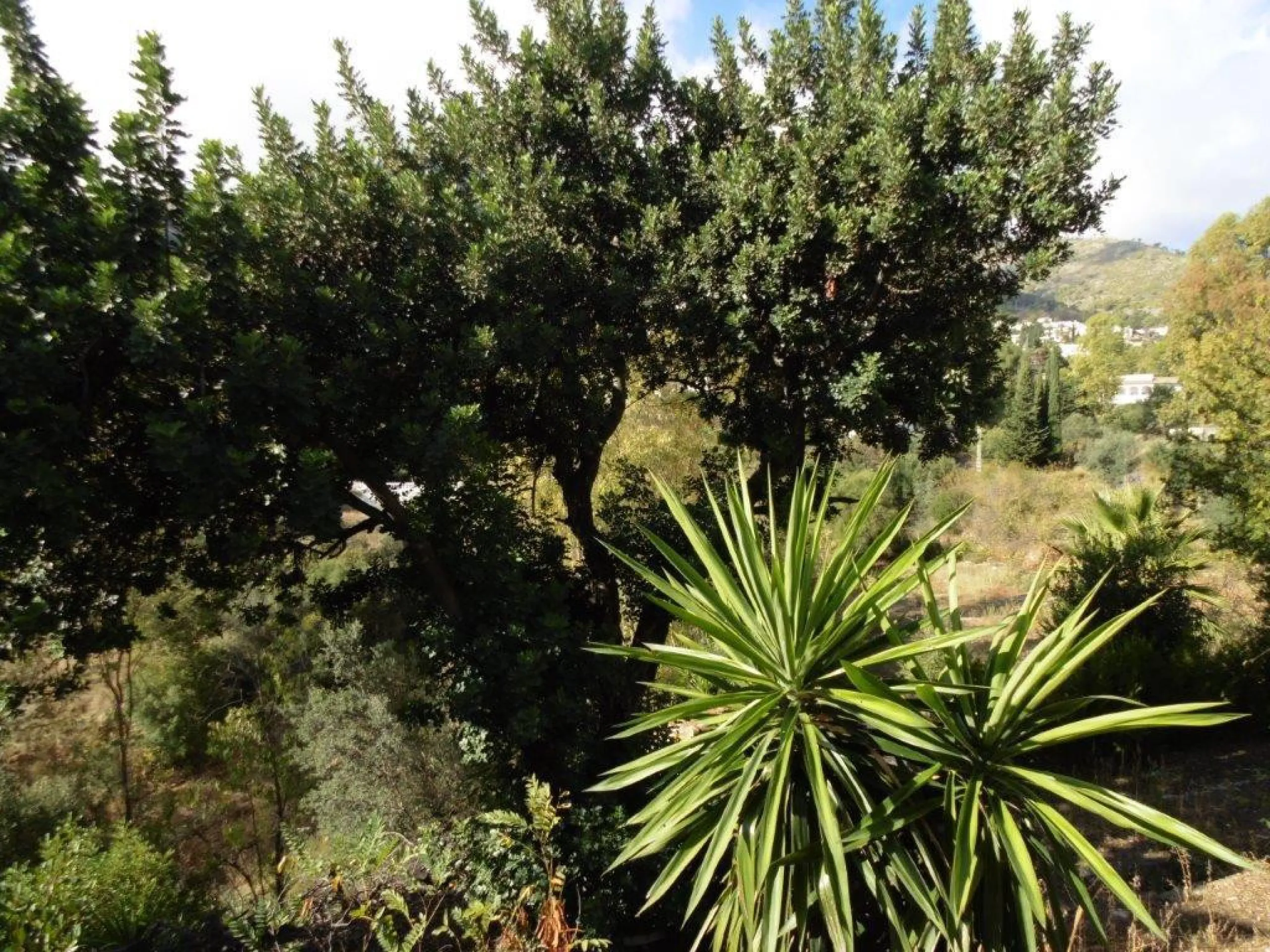 Вилла/Шале, Mijas, Costa del Sol