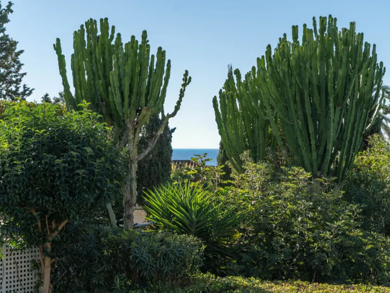 This refined villa in El Rosario offers privacy, comfort and Mediterranean living on a 1,097 m² plot with a total of 342 m² built. Its south-west orientation ensures bright interiors and beautiful sunset views.