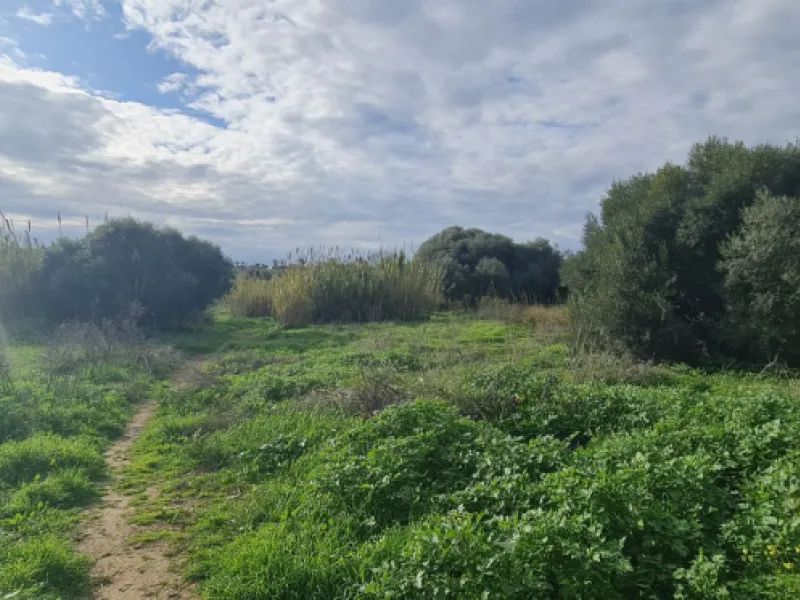 Plot - Residential Plot в продаже в Mijas, Málaga. Площадь дома 560 м². Площадь участка 674 м²