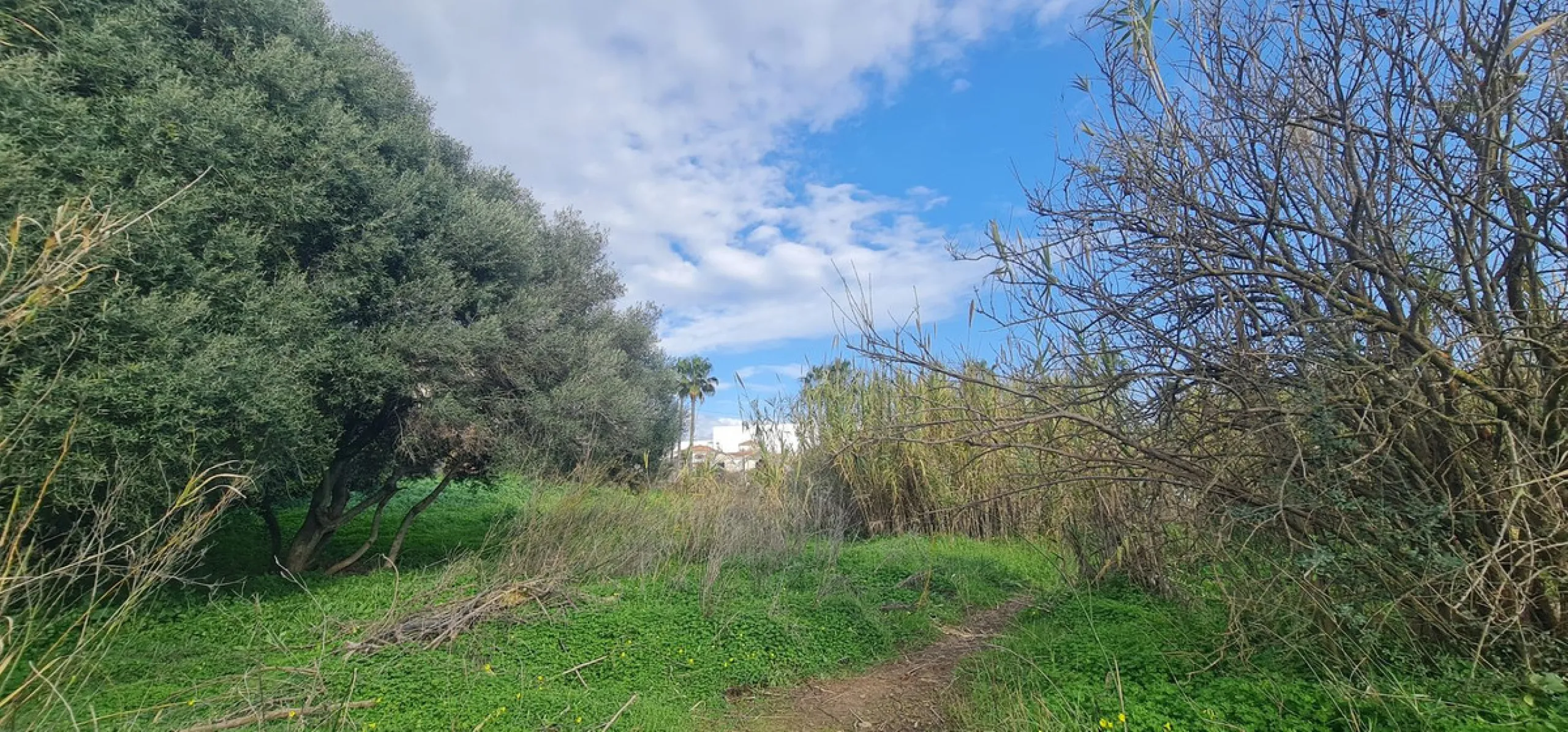 Plot - Residential Plot в продаже в Mijas, Málaga. Площадь дома 560 м². Площадь участка 674 м²