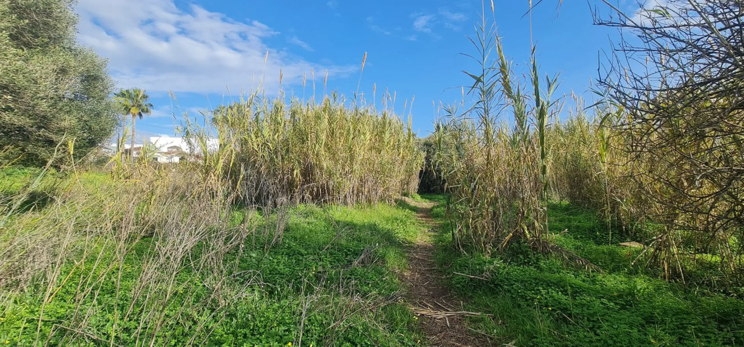 Plot - Residential Plot в продаже в Mijas, Málaga. Площадь дома 560 м². Площадь участка 674 м²