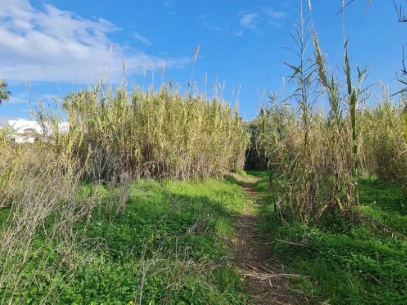 Plot - Residential Plot в продаже в Mijas, Málaga. Площадь дома 560 м². Площадь участка 674 м²