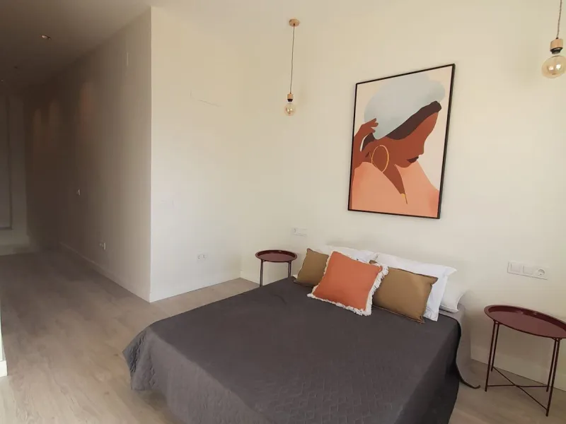 Unique fully renovated 2-level property with private patio in El Ejido