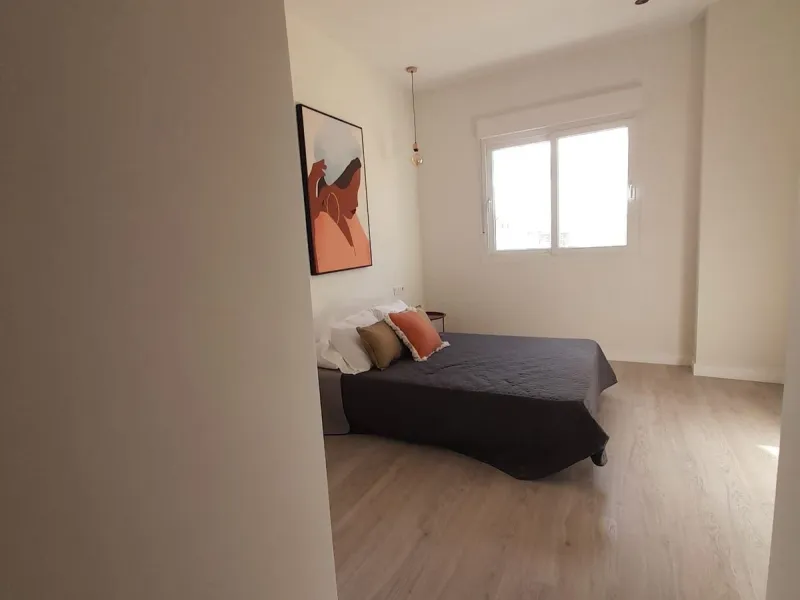 Unique fully renovated 2-level property with private patio in El Ejido